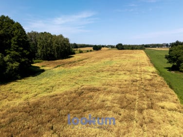 Działka budowlana Adamów