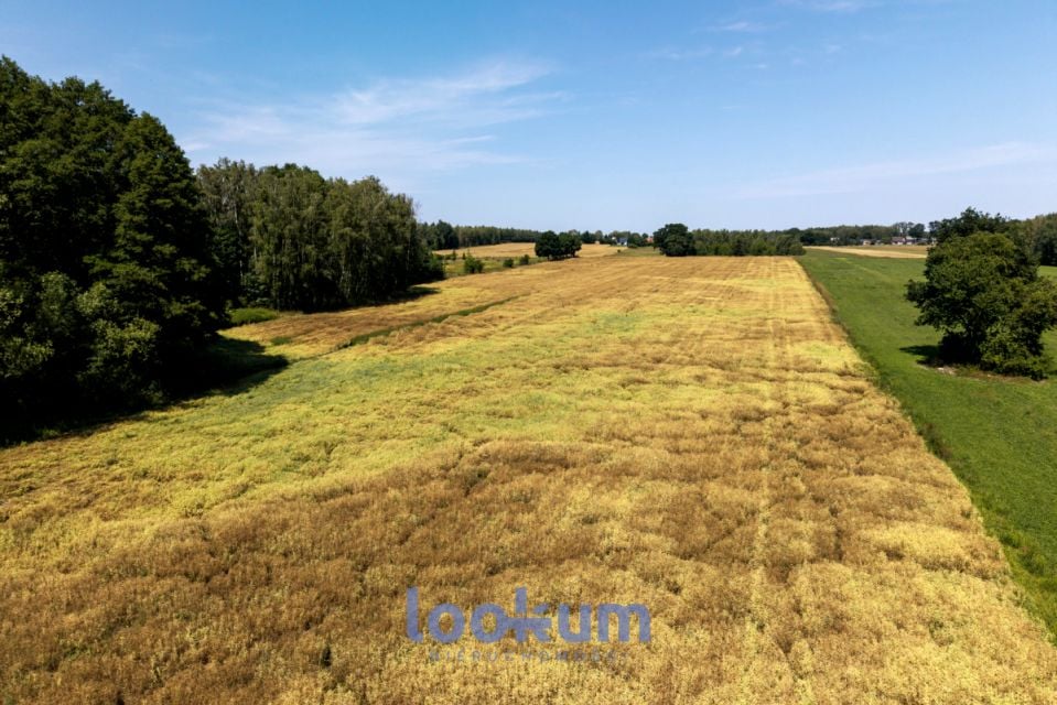 Działka budowlana Adamów