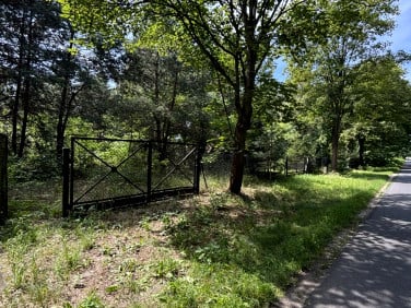 Działka Zdziechów