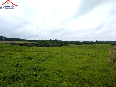 Działka rolna Książnik