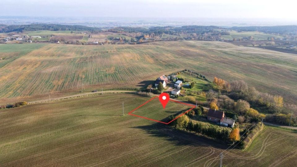 Zdjęcie 2