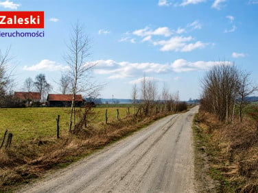 Działka Henrykowo