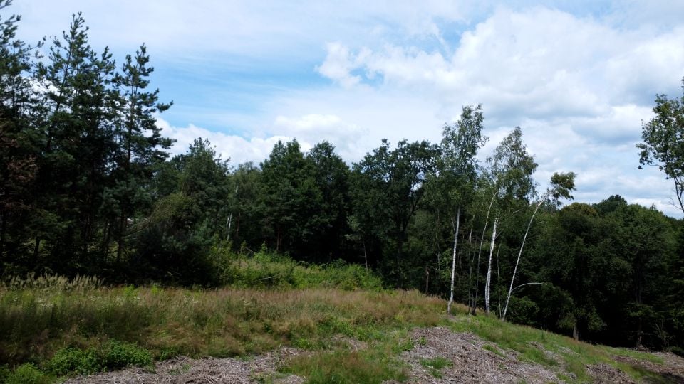 Działka budowlano-rolna Poręba Spytkowska