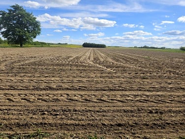 Działka budowlana Czermno