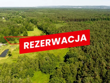 Działka Żdżary