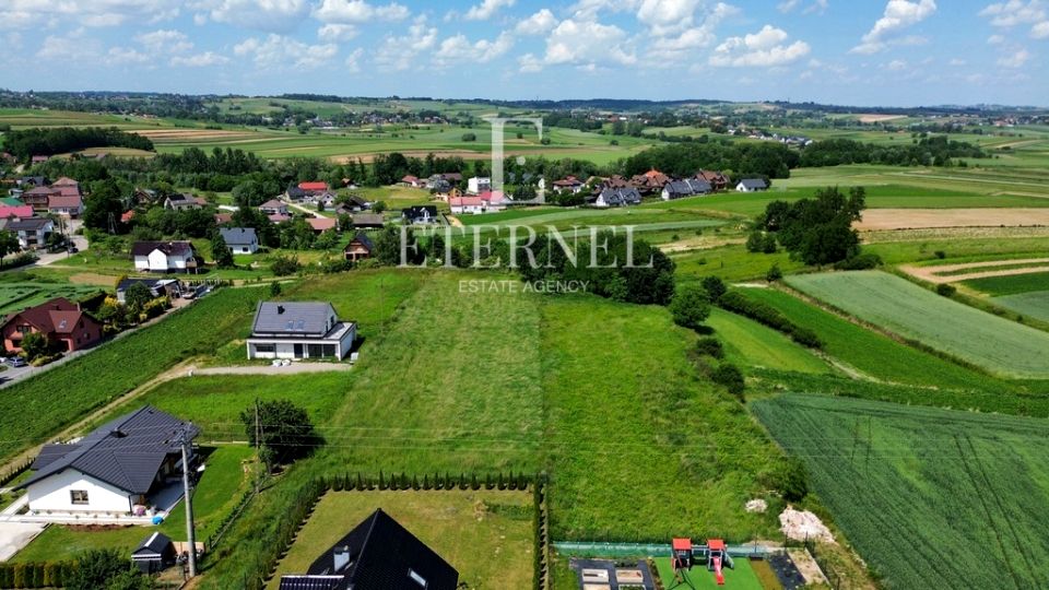 Zdjęcie 2