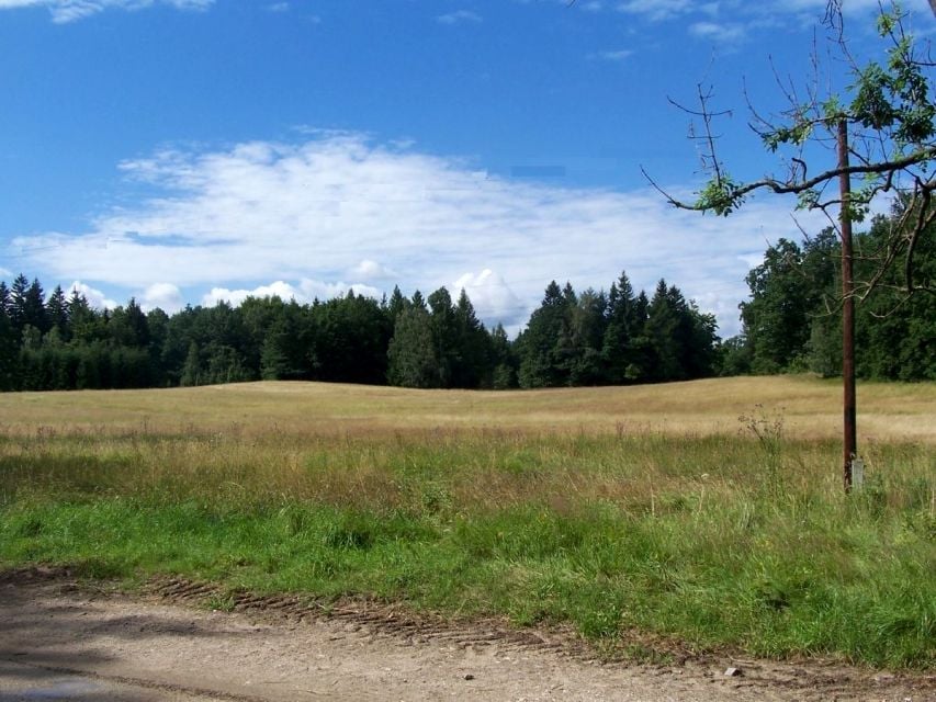 Zdjęcie 3