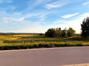 Działka usługowa bieliny kapitulne