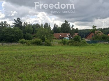 Działka rolna Lutek