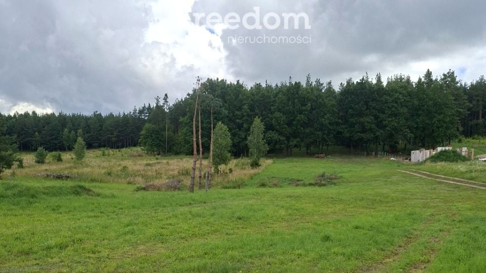 Działka rolna Lutek sprzedam