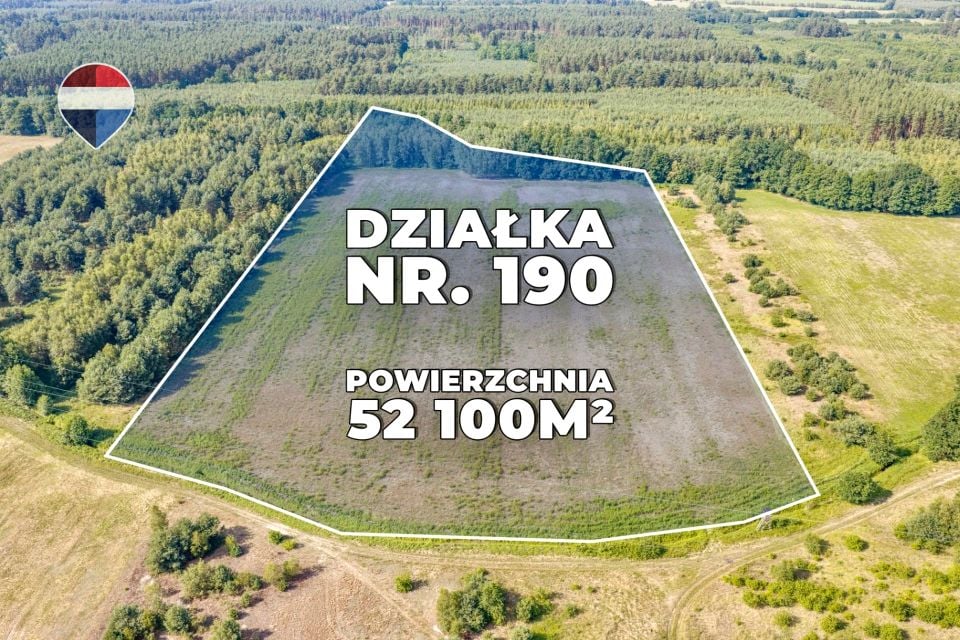 Zdjęcie 2