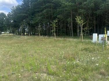 Działka rekreacyjna Zapust