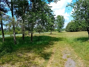 Działka budowlano-rolna Trachy