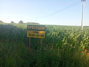 Działka inna Stare Miasto