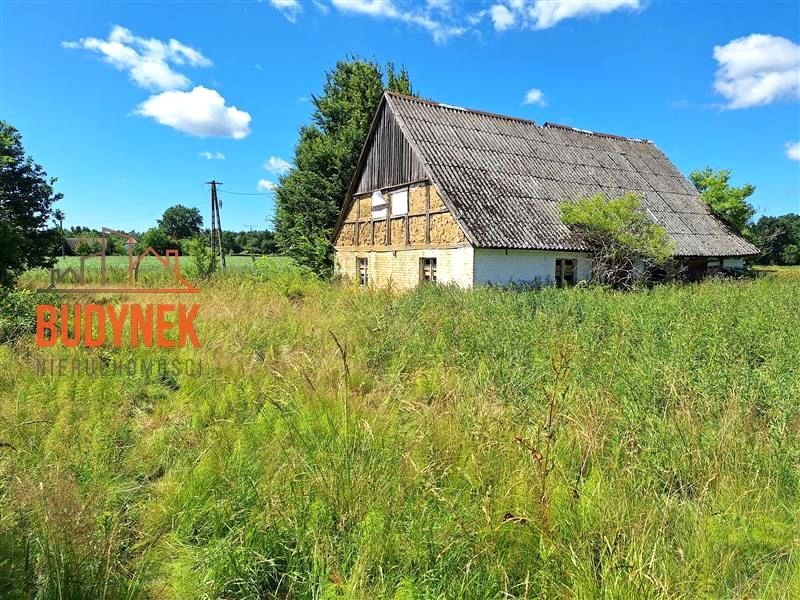 Zdjęcie 2