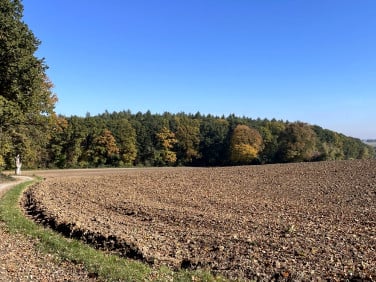 Działka Nasiechowice