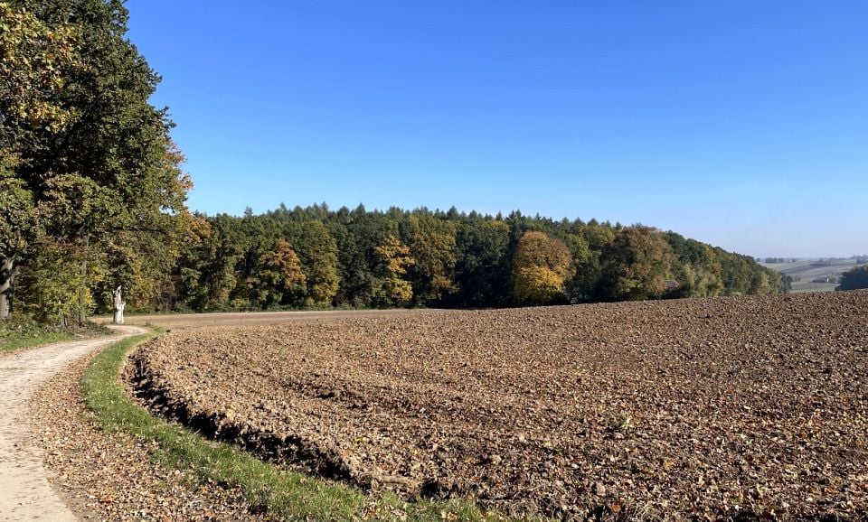 Działka Nasiechowice