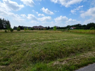 Działka inna Kozłów Biskupi
