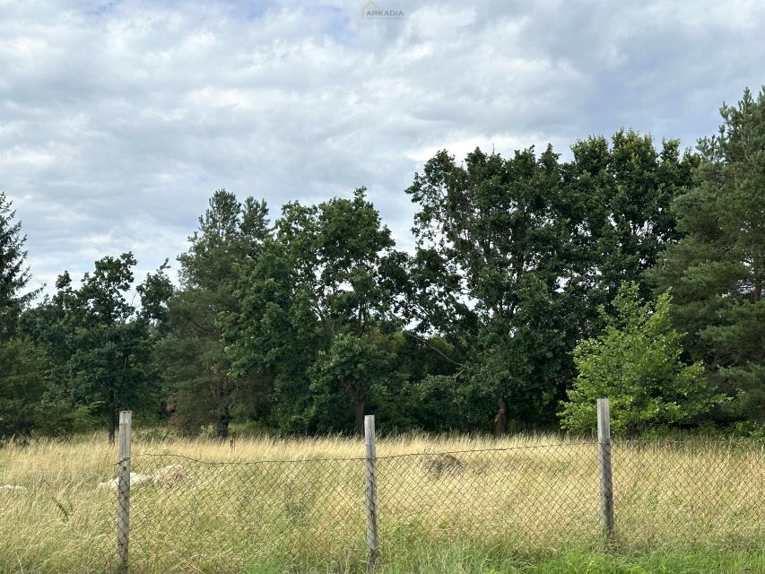 Zdjęcie 2