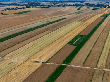Działka rolna Piotrków Drugi