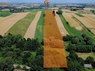 Działka siedliskowa Kazimierza Wielka
