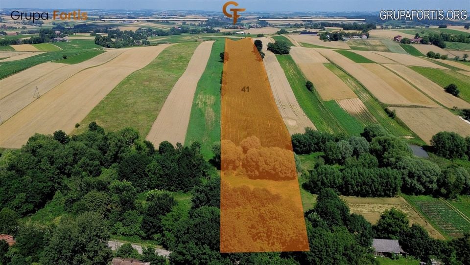 Działka siedliskowa Kazimierza Wielka