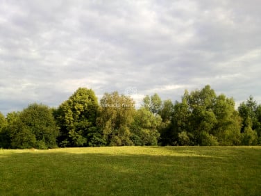 Działka budowlana Dziekanowice