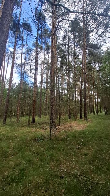 Działka Zębowo