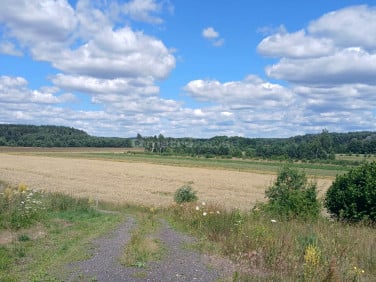 Działka budowlana Skrzatusz
