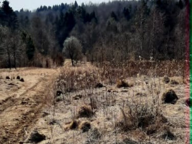 Działka budowlana Golcowa