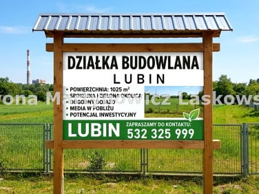 Działka Lubin