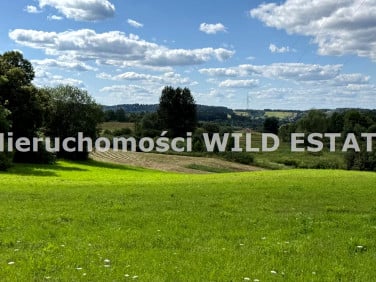 Działka rolna Jankowce