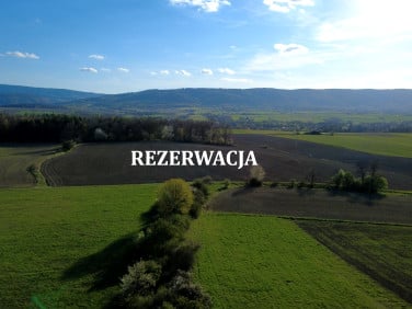 Działka Mielnik