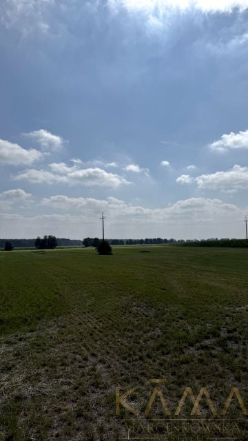 Zdjęcie 3