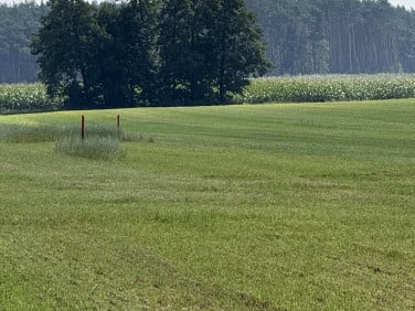 Pusta działka Żabno