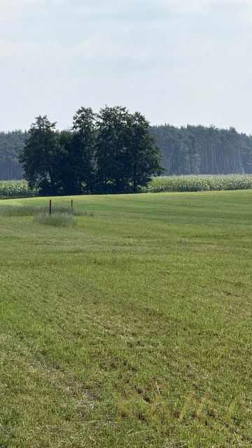 Pusta działka Żabno