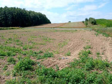 Działka Rzeszów