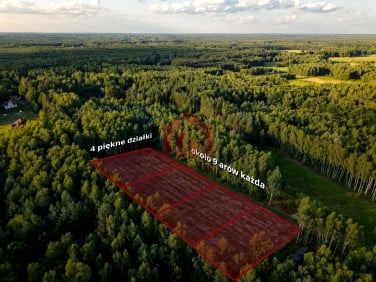 Działka budowlana Czarna Sędziszowska