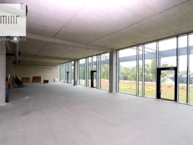 Lokal Kraków