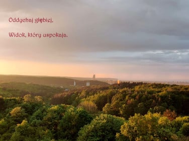 Mieszkanie Gdańsk
