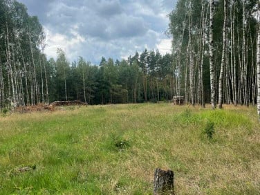 Działka budowlana Klotyldzin