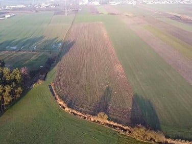 Działka inwestycyjna Borek Wielkopolski