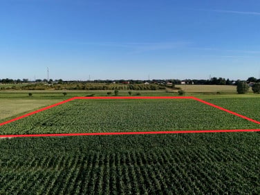 Działka Rokietnica