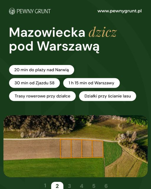 Zalesiona działka kaczka