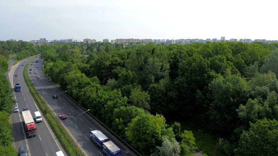 Zdjęcie 2