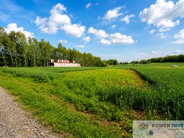 Działka budowlana Bodzanów