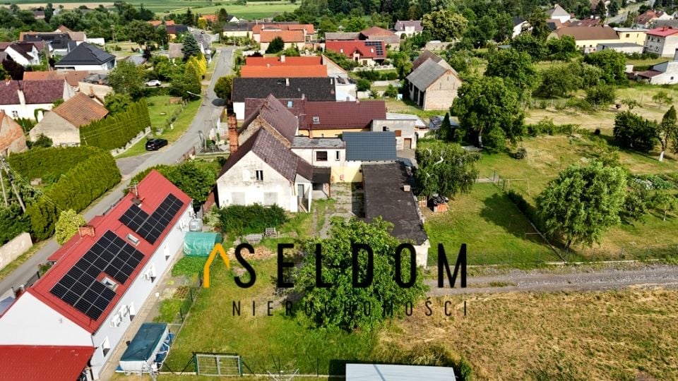 Zdjęcie 3