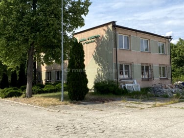 Lokal Dębina