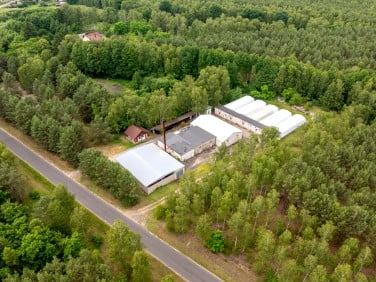 Działka przemysłowa Miały