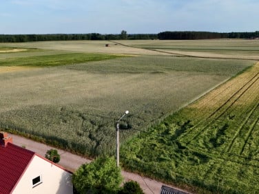 Działka rolna Reńsko